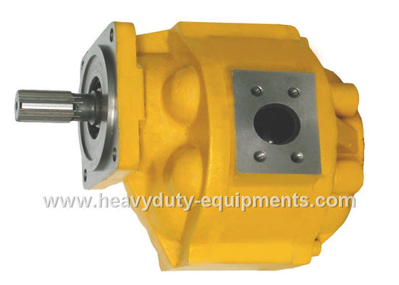 China Hydraulikölpumpe 1010000019 für Zoomlions-Kran mit Garantie fournisseur